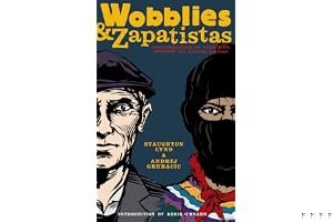 Wobblies and Zapatistas: Conversations on Anarchism, Marxism and Radical History book cover