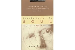 Boundaries of the Soul: The Practice of Jung's Psychology book cover