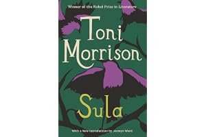 Sula book cover