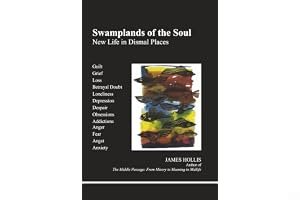 Swamplands of the Soul: New Life in Dismal Places (Studies in Jungian Psychology by Jungian Analysts, 73) book cover