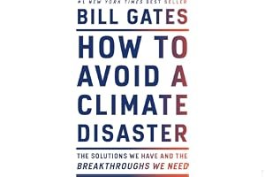 How to Avoid a Climate Disaster: The Solutions We Have and the Breakthroughs We Need book cover