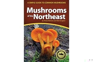 Mushrooms of the Northeast: A Simple Guide to Common Mushrooms book cover