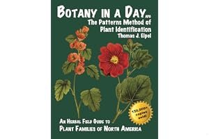 Botany in a Day: The Patterns Method of Plant Identification book cover