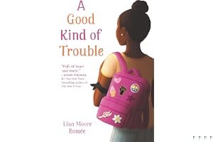 A Good Kind of Trouble book cover
