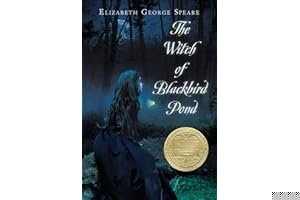 The Witch of Blackbird Pond book cover