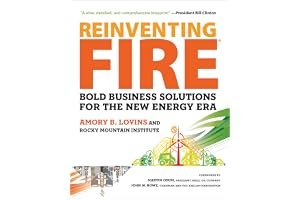 Reinventing Fire: Bold Business Solutions for the New Energy Era book cover