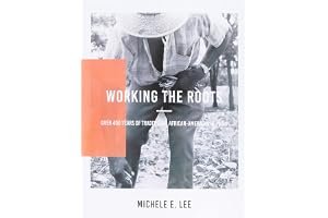 Working the Roots: Over 400 Years of Traditional African American Healing book cover