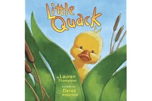 Little Quack book cover