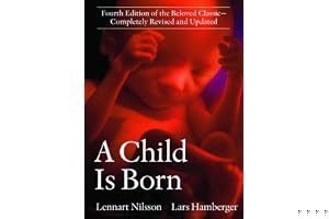 A Child is Born book cover