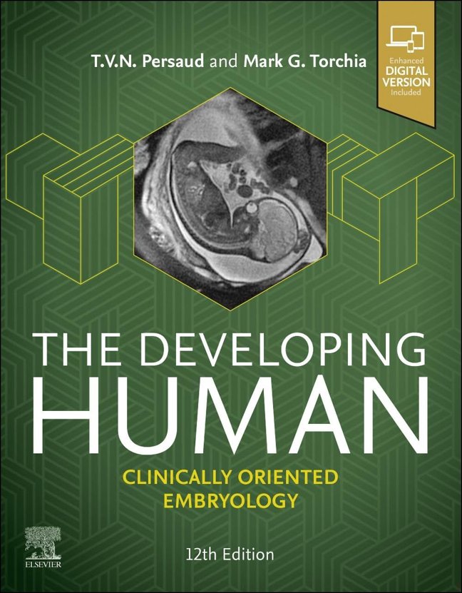 The Developing Human: Clinically Oriented Embryology book cover