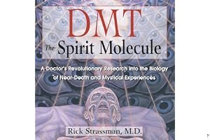 DMT: The Spirit Molecule book cover