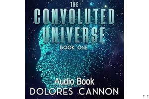 The Convoluted Universe - Book One book cover