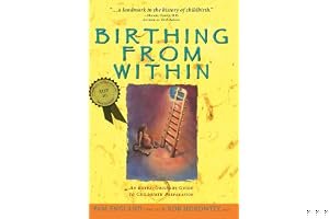Birthing from Within: An Extra-Ordinary Guide to Childbirth Preparation book cover