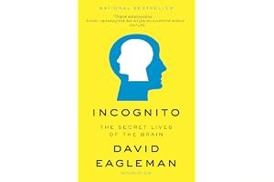 Incognito: The Secret Lives of the Brain book cover