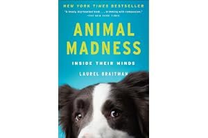Animal Madness: How Anxious Dogs, Compulsive Parrots, and Elephants in Recovery Help Us Understand Ourselves book cover