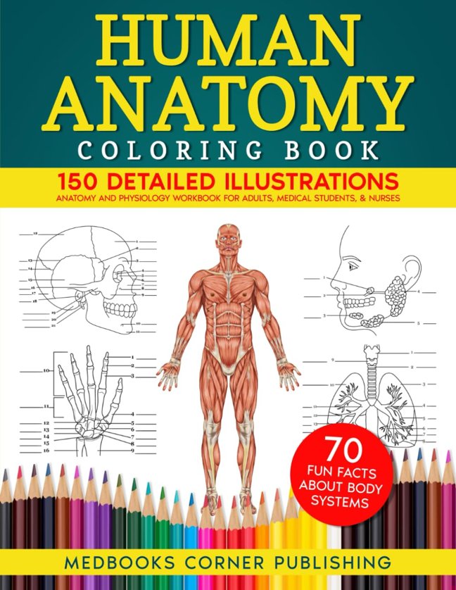 Human Anatomy Coloring Book: 150 Detailed Illustrations & 70 Fascinating Facts in an Anatomy and Physiology Workbook for Adults, Medical Students, & Nurses Focused on Advanced Body Systems Learning book cover