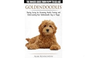 Goldendoodles: The Owners Guide from Puppy to Old Age: Choosing, Caring For, Grooming, Health, Training and Understanding Your Goldendoodle Dog book cover