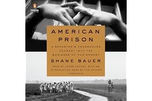 American Prison: A Reporter's Undercover Journey into the Business of Punishment book cover