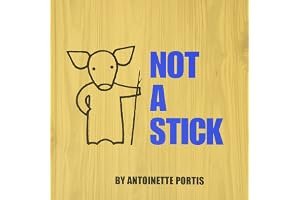 Not a Stick book cover