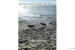 In the Footsteps of Sheep: Tales of a Journey Through Scotland, Walking, Spinning, and Knitting Socks book cover