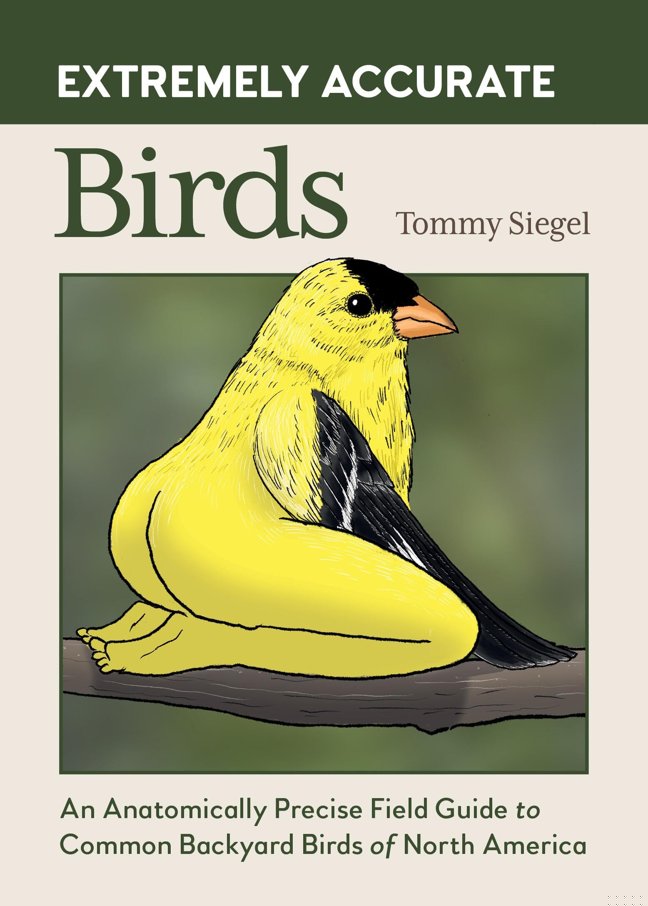 Extremely Accurate Birds: An Anatomically Precise Field Guide to Common Backyard Birds of North America book cover