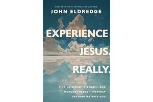 Experience Jesus. Really: Finding Refuge, Strength, and Wonder through Everyday Encounters with God book cover