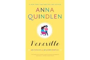 Nanaville: Adventures in Grandparenting book cover