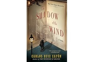 The Shadow of the Wind (The Cemetery of Forgotten Books, #1) book cover