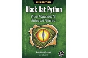 Black Hat Python, 2nd Edition: Python Programming for Hackers and Pentesters book cover