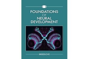 Foundations of Neural Development book cover