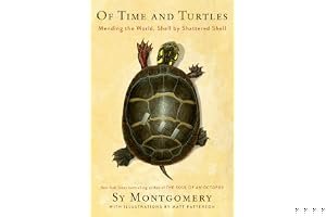 Of Time and Turtles: Mending the World, Shell by Shattered Shell book cover