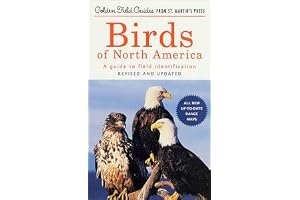 Birds of North America: A Guide To Field Identification book cover
