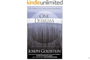 One Dharma: The Emerging Western Buddhism book cover