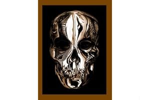 Alexander McQueen: Savage Beauty book cover