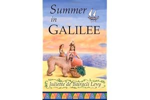 Summer in Galilee book cover