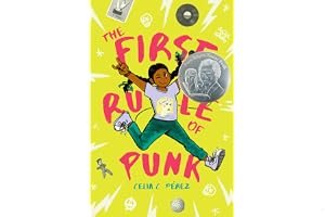 The First Rule of Punk book cover