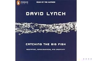 Catching the Big Fish: Meditation, Consciousness, and Creativity book cover
