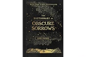 The Dictionary of Obscure Sorrows book cover