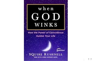 When God Winks: How the Power of Coincidence Guides Your Life book cover