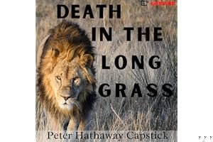 Death in the Long Grass: A Big Game Hunter's Adventures in the African Bush book cover