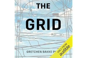 The Grid: Electrical Infrastructure for a New Era book cover