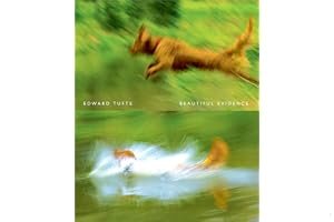 Beautiful Evidence book cover