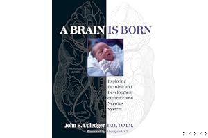 A Brain Is Born: Exploring the Birth and Development of the Central Nervous System book cover