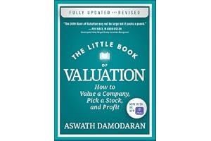 The Little Book of Valuation: How to Value a Company, Pick a Stock, and Profit (Little Books. Big Profits) book cover