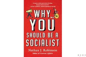 Why You Should Be a Socialist book cover