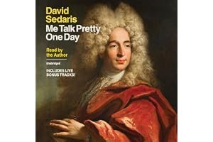 Me Talk Pretty One Day book cover