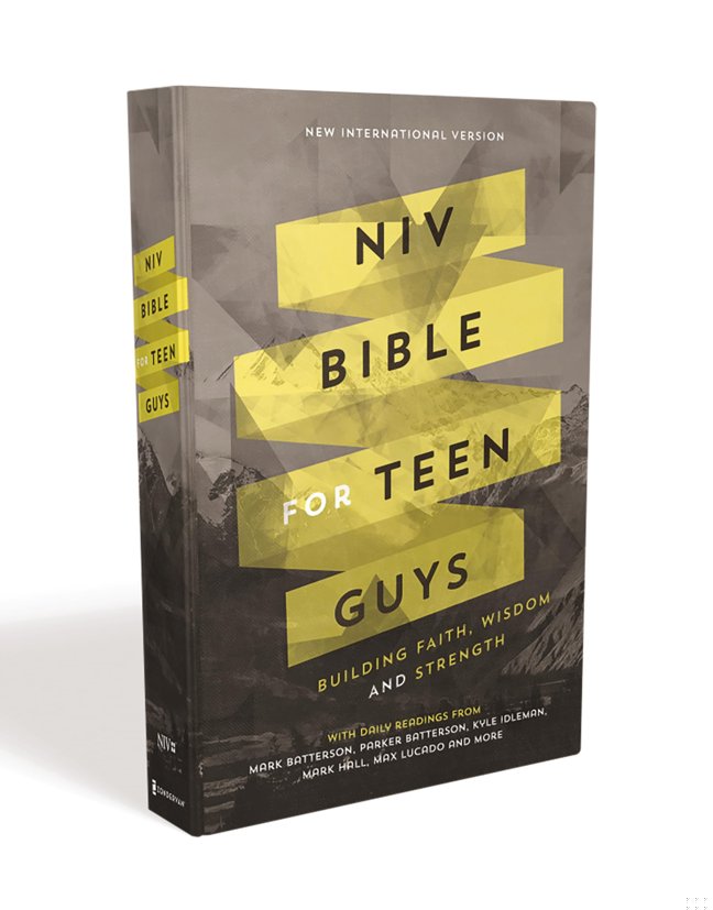 NIV, Bible for Teen Guys, Hardcover: Building Faith, Wisdom and Strength book cover