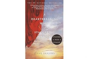 A Heartbreaking Work of Staggering Genius book cover