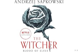 Blood of Elves (The Witcher, #1) book cover