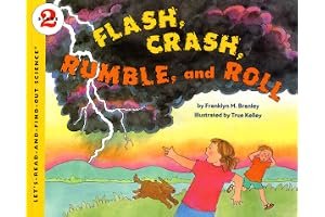 Flash, Crash, Rumble, and Roll book cover